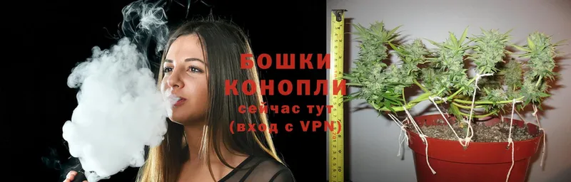 Марихуана гибрид  гидра ссылки  Бологое 